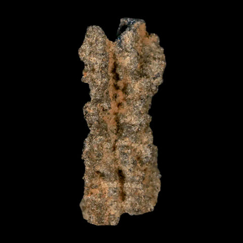 1.8" Fulgurite Petrified Lighting Strike Glass Sahara Desert Algeria - Fossil Age Minerals