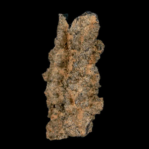 1.8" Fulgurite Petrified Lighting Strike Glass Sahara Desert Algeria - Fossil Age Minerals