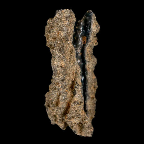 1.8" Fulgurite Petrified Lighting Strike Glass Sahara Desert Algeria - Fossil Age Minerals