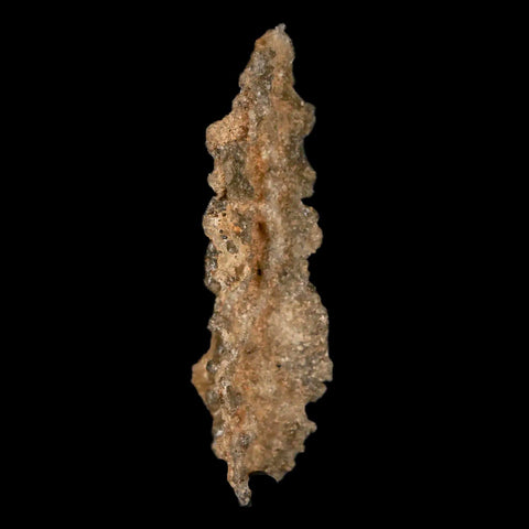 2" Fulgurite Petrified Lighting Strike Glass Sahara Desert Algeria - Fossil Age Minerals