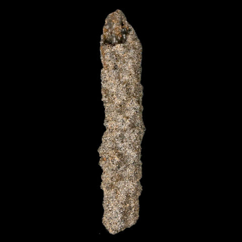 2.1" Fulgurite Petrified Lighting Strike Glass Sahara Desert Algeria - Fossil Age Minerals