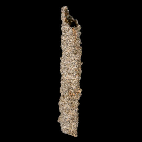 2.1" Fulgurite Petrified Lighting Strike Glass Sahara Desert Algeria - Fossil Age Minerals