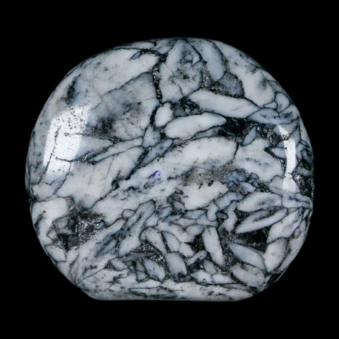 42MM Pinolite Polished Palm Stone Mineral Specimen Panolith Austria - Fossil Age Minerals