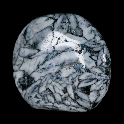 42MM Pinolite Polished Palm Stone Mineral Specimen Panolith Austria - Fossil Age Minerals