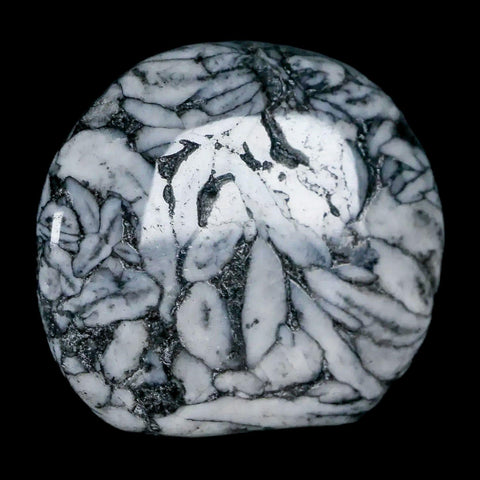 42MM Pinolite Polished Palm Stone Mineral Specimen Panolith Austria - Fossil Age Minerals