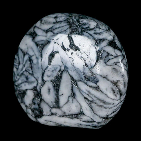 42MM Pinolite Polished Palm Stone Mineral Specimen Panolith Austria - Fossil Age Minerals