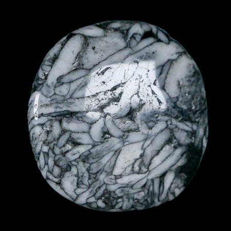 41MM Pinolite Polished Palm Stone Mineral Specimen Panolith Austria