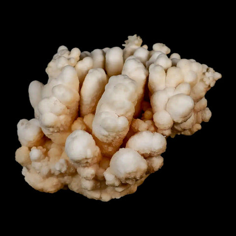 3.7" Botryoidal Aragonite Cave Calcite Crystal Cluster Mineral Specimen Morocco - Fossil Age Minerals