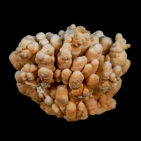 3.7" Botryoidal Aragonite Cave Calcite Crystal Cluster Mineral Specimen Morocco - Fossil Age Minerals