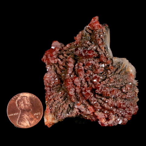 2.3" Sparkly Red Vanadinite Crystals Black Barite Blades Mineral Mabladen Morocco - Fossil Age Minerals