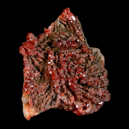 2.3" Sparkly Red Vanadinite Crystals Black Barite Blades Mineral Mabladen Morocco