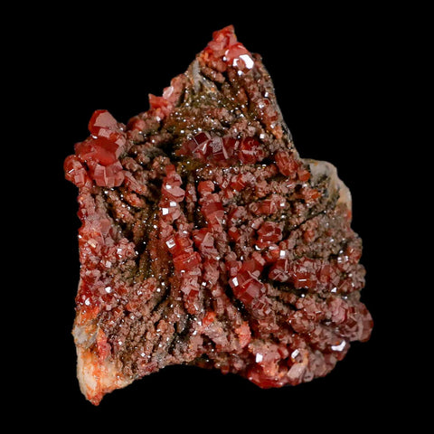 2.3" Sparkly Red Vanadinite Crystals Black Barite Blades Mineral Mabladen Morocco - Fossil Age Minerals