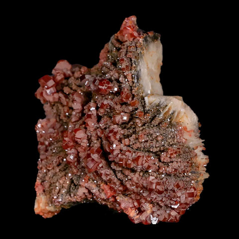 2.3" Sparkly Red Vanadinite Crystals Black Barite Blades Mineral Mabladen Morocco - Fossil Age Minerals