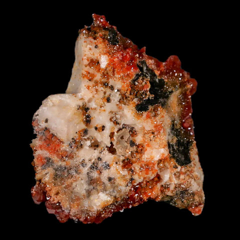 2.3" Sparkly Red Vanadinite Crystals Black Barite Blades Mineral Mabladen Morocco - Fossil Age Minerals