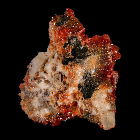 2.3" Sparkly Red Vanadinite Crystals Black Barite Blades Mineral Mabladen Morocco - Fossil Age Minerals