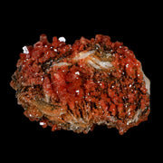 2.3" Sparkly Red Vanadinite Crystals Black Barite Blades Mineral Mabladen Morocco