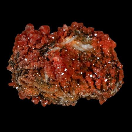 2.3" Sparkly Red Vanadinite Crystals Black Barite Blades Mineral Mabladen Morocco