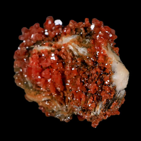 2.3" Sparkly Red Vanadinite Crystals Black Barite Blades Mineral Mabladen Morocco - Fossil Age Minerals