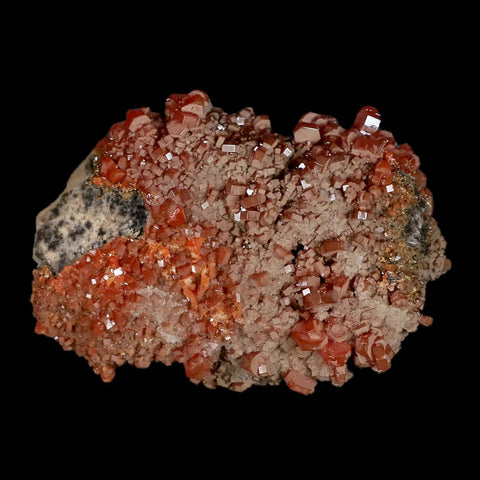 2.3" Sparkly Red Vanadinite Crystals Black Barite Blades Mineral Mabladen Morocco - Fossil Age Minerals