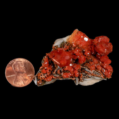 2.1" Sparkly Red Vanadinite Crystals Black Barite Blades Mineral Mabladen Morocco - Fossil Age Minerals