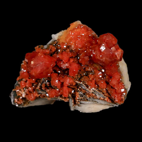 2.1" Sparkly Red Vanadinite Crystals Black Barite Blades Mineral Mabladen Morocco - Fossil Age Minerals