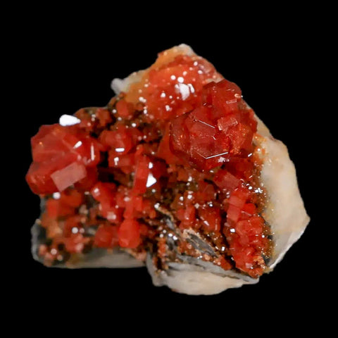 2.1" Sparkly Red Vanadinite Crystals Black Barite Blades Mineral Mabladen Morocco - Fossil Age Minerals