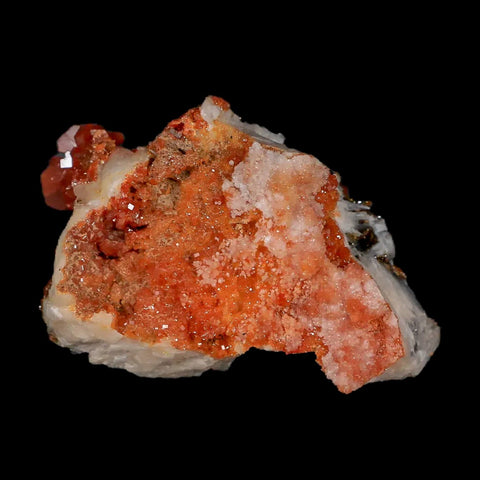 2.1" Sparkly Red Vanadinite Crystals Black Barite Blades Mineral Mabladen Morocco - Fossil Age Minerals