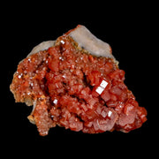 1.7" Sparkly Red Vanadinite Crystals White Barite Blades Mineral Mabladen Morocco