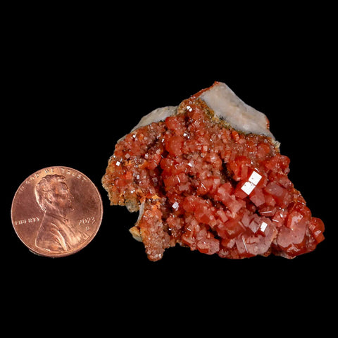 1.7" Sparkly Red Vanadinite Crystals White Barite Blades Mineral Mabladen Morocco - Fossil Age Minerals