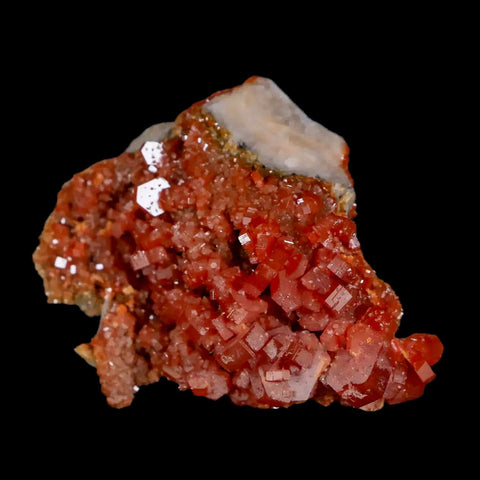 1.7" Sparkly Red Vanadinite Crystals White Barite Blades Mineral Mabladen Morocco - Fossil Age Minerals