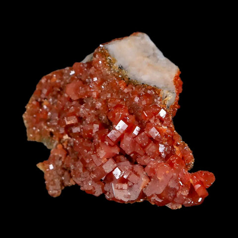 1.7" Sparkly Red Vanadinite Crystals White Barite Blades Mineral Mabladen Morocco - Fossil Age Minerals