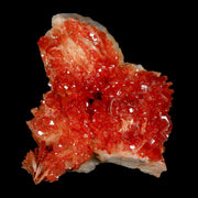 2.1" Sparkly Red Vanadinite Crystals White Barite Blades Mineral Mabladen Morocco