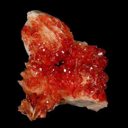 2.1" Sparkly Red Vanadinite Crystals White Barite Blades Mineral Mabladen Morocco