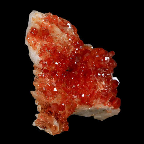 2.1" Sparkly Red Vanadinite Crystals White Barite Blades Mineral Mabladen Morocco - Fossil Age Minerals