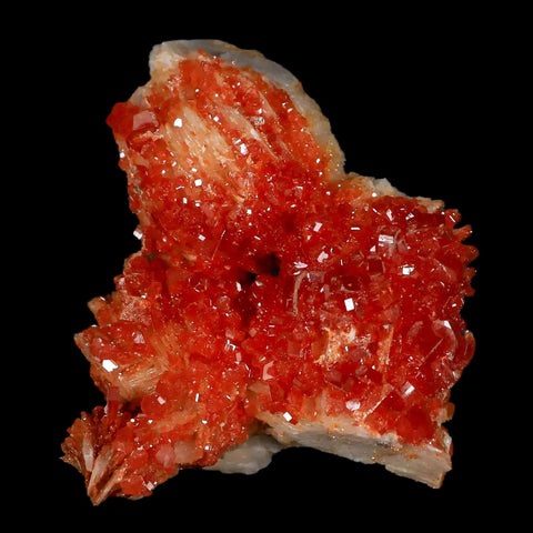 2.1" Sparkly Red Vanadinite Crystals White Barite Blades Mineral Mabladen Morocco - Fossil Age Minerals