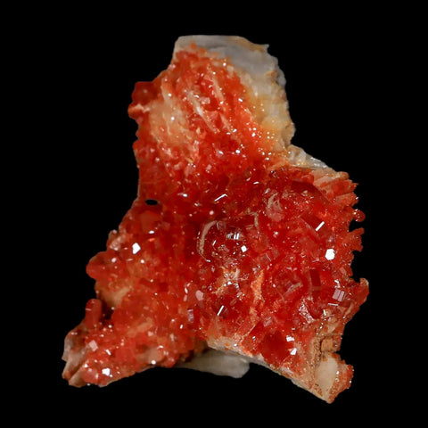 2.1" Sparkly Red Vanadinite Crystals White Barite Blades Mineral Mabladen Morocco - Fossil Age Minerals