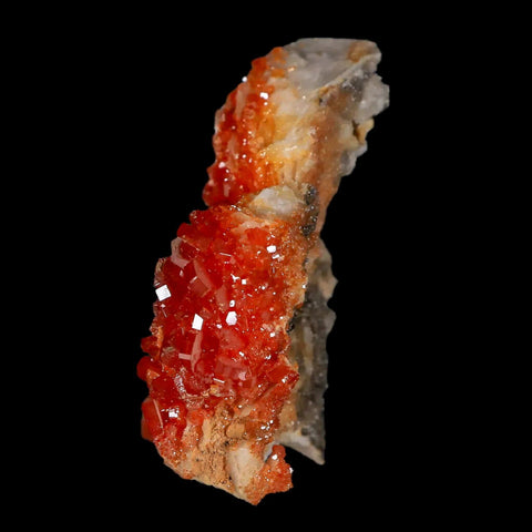 2.1" Sparkly Red Vanadinite Crystals White Barite Blades Mineral Mabladen Morocco - Fossil Age Minerals