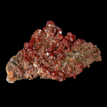 3.7" Sparkly Red Vanadinite Crystals Black Barite Blades Mineral Mabladen Morocco