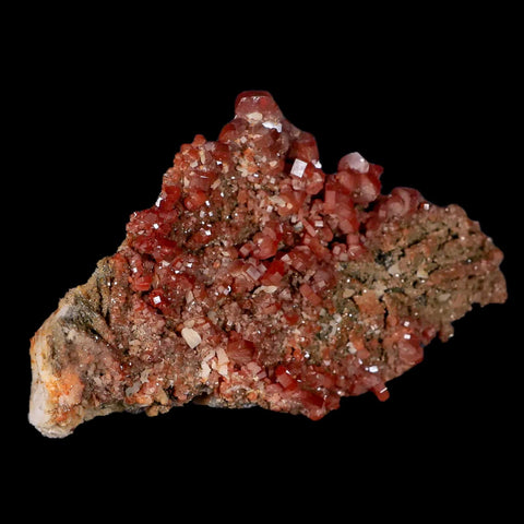 3.7" Sparkly Red Vanadinite Crystals Black Barite Blades Mineral Mabladen Morocco - Fossil Age Minerals