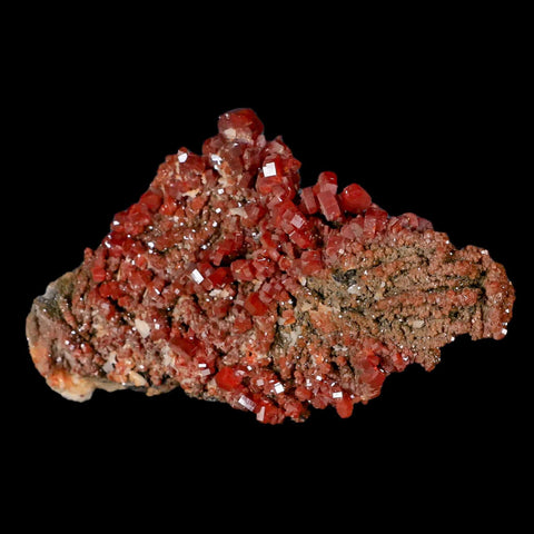 3.7" Sparkly Red Vanadinite Crystals Black Barite Blades Mineral Mabladen Morocco - Fossil Age Minerals