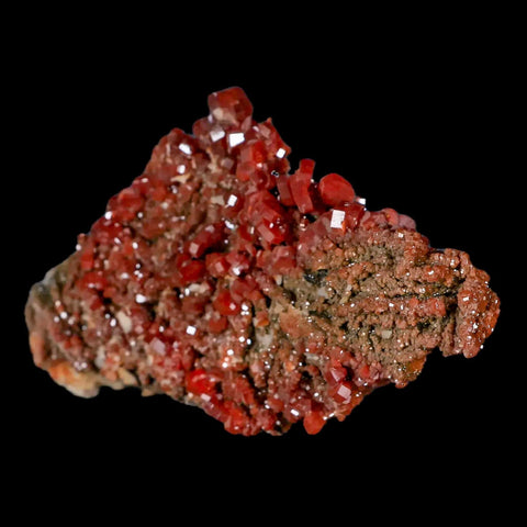 3.7" Sparkly Red Vanadinite Crystals Black Barite Blades Mineral Mabladen Morocco - Fossil Age Minerals