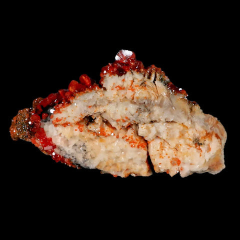 3.7" Sparkly Red Vanadinite Crystals Black Barite Blades Mineral Mabladen Morocco - Fossil Age Minerals