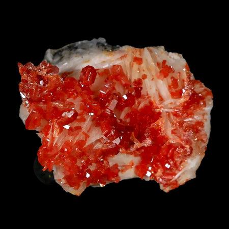 1.7" Sparkly Red Vanadinite Crystals White Barite Blades Mineral Mabladen Morocco