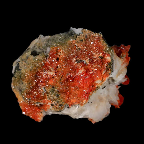 1.7" Sparkly Red Vanadinite Crystals White Barite Blades Mineral Mabladen Morocco - Fossil Age Minerals