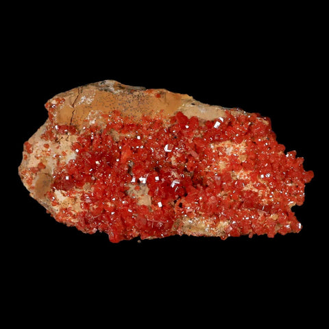 3.4" Sparkly Druzy Red Vanadinite Crystals Cluster Mineral Specimen Morocco - Fossil Age Minerals