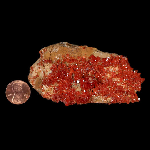 3.4" Sparkly Druzy Red Vanadinite Crystals Cluster Mineral Specimen Morocco - Fossil Age Minerals