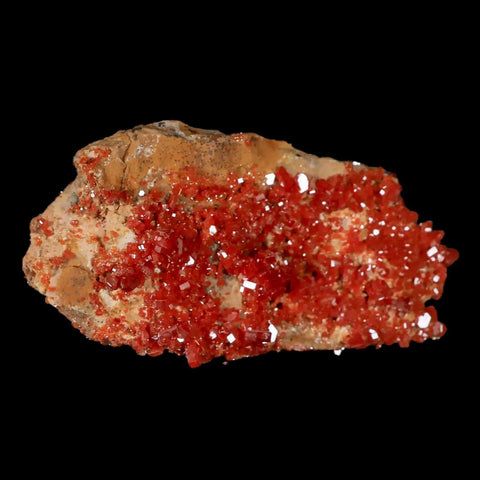 3.4" Sparkly Druzy Red Vanadinite Crystals Cluster Mineral Specimen Morocco - Fossil Age Minerals