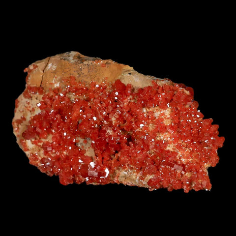 3.4" Sparkly Druzy Red Vanadinite Crystals Cluster Mineral Specimen Morocco - Fossil Age Minerals