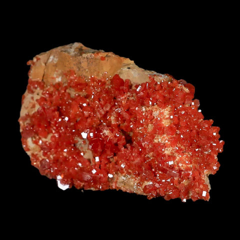 3.4" Sparkly Druzy Red Vanadinite Crystals Cluster Mineral Specimen Morocco - Fossil Age Minerals