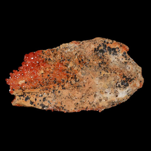 3.4" Sparkly Druzy Red Vanadinite Crystals Cluster Mineral Specimen Morocco - Fossil Age Minerals